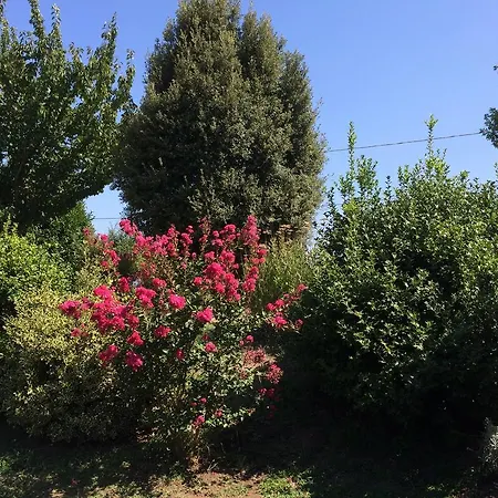 Holiday Sellanraa Apartment Campagnano Di Roma